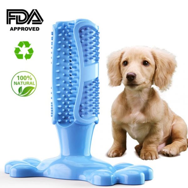 Buy Dog Teeth Cleaning Toys - Toothbrush for your furry pet